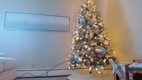 Smexy online show from December 2024 05:24:01 PM