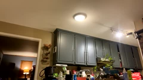 Snapshot of smokeymt420 chatting on February 2025 09:37:01 AM smokeymt420 online show from February 2025 09:37:01 AM