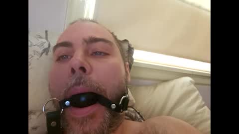 Snapshot of snarkymarks chatting on December 2025 03:51:02 PM snarkymarks online show from December 2025 03:51:02 PM