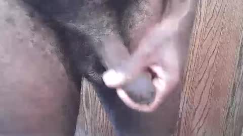 snkr1244 online show from September 2025 06:29:02 PM