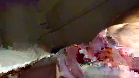 Snooty online show from January 2025 10:23:01 PM