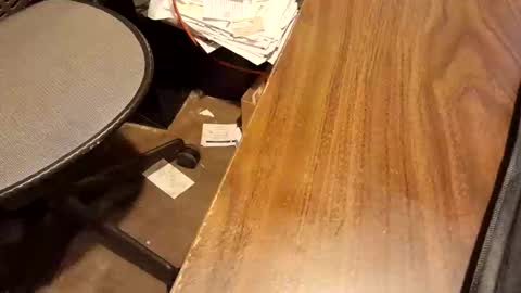 Snapshot of snowboarder699 chatting on February 2026 01:09:01 PM watchmecum online show from February 2026 01:09:01 PM