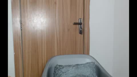 snowdrop5 online show from January 2025 11:03:01 PM