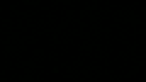 snp__useeitsfun online show from November 2025 09:41:01 AM