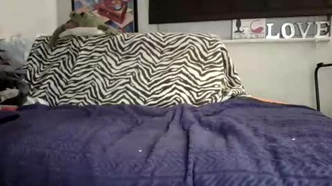 MicroAngelo online show from November 2025 10:50:02 AM