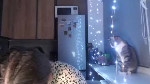 Sofi online show from October 2025 09:13:01 PM