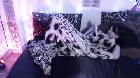 Snapshot of sofianix chatting on January 2025 04:44:01 PM SOFIA NIX online show from January 2025 04:44:01 PM