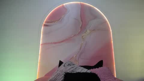 Snapshot of sofii_lopezz chatting on February 2026 11:38:02 AM Sofii Lopezz online show from February 2026 11:38:02 AM