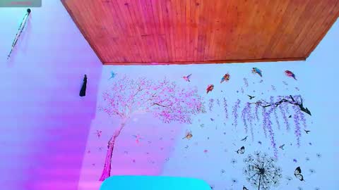 Snapshot of sofiia_diiaz chatting on March 2026 11:47:02 AM Sofa Daz online show from March 2026 11:47:02 AM