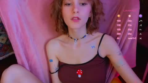 E online show from April 2026 12:08:02 PM