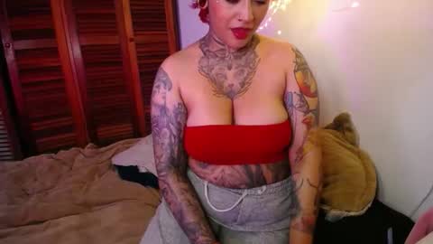 softsin1 online show from February 2026 04:10:02 AM