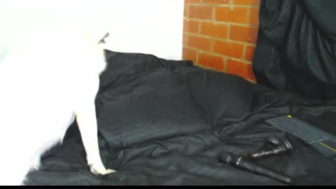  Sofy  online show from February 2026 03:07:02 AM