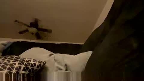 soharddr online show from November 2025 09:21:01 AM