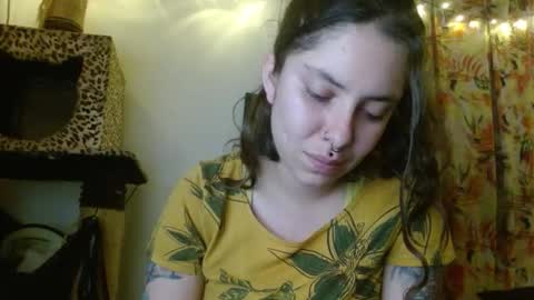 Sofia online show from November 2025 03:06:02 AM