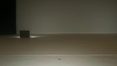 Ol4 online show from June 2026 08:50:02 AM