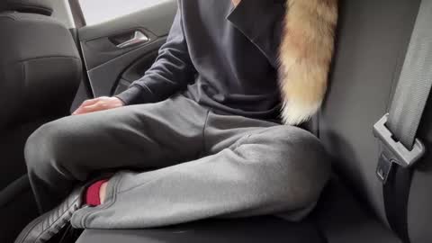 Sondages online show from February 2025 08:49:02 AM