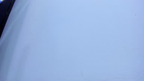 Sophia online show from February 2025 02:38:01 AM