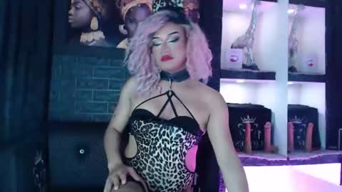 sophia_hott01 online show from January 2026 12:40:01 PM