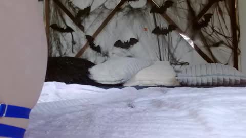 Snapshot of sophiaalee chatting on October 2025 11:27:01 PM SophiaLee online show from October 2025 11:27:01 PM