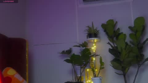 Sophia online show from April 2026 07:59:01 PM