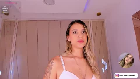 Snapshot of sophie_velvet18 chatting on December 2025 11:52:01 AM Sophie online show from December 2025 11:52:01 AM