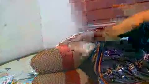 Soulless Jenica online show from April 2026 02:26:02 AM