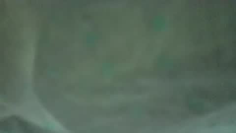 soycule2005 online show from April 2026 10:36:01 PM