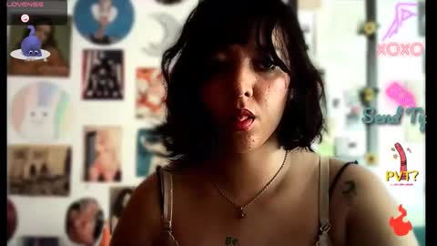 Snapshot of soynanabela chatting on December 2024 02:11:02 PM Nana Bela online show from December 2024 02:11:02 PM