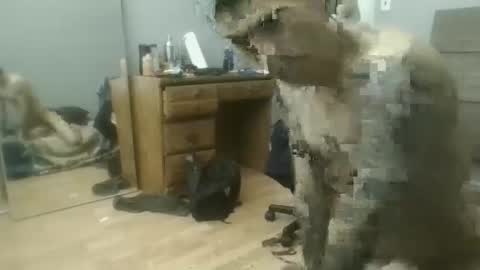 speedfreekeespun online show from February 2025 07:14:01 PM