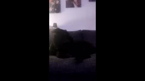 spermaking854897 online show from March 2026 04:07:02 AM