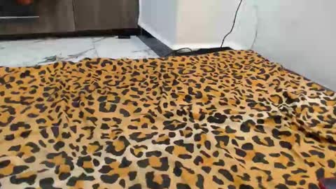 dela online show from September 2025 12:43:01 AM