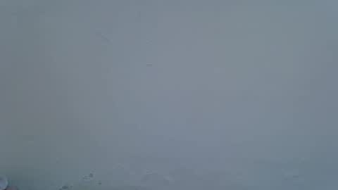 Kittle online show from May 2026 04:26:01 PM