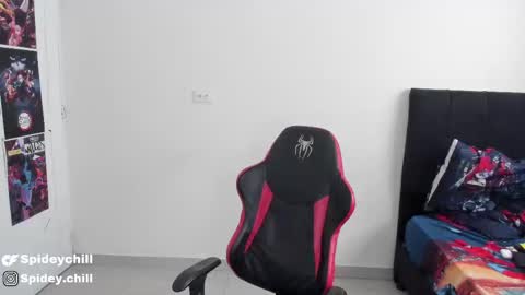 Snapshot of spideychill chatting on March 2025 10:07:02 PM spideychill online show from March 2025 10:07:02 PM