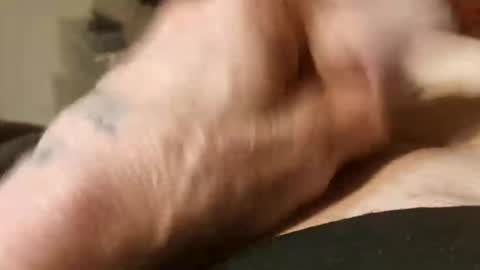 spraytec58 online show from March 2026 05:23:01 AM