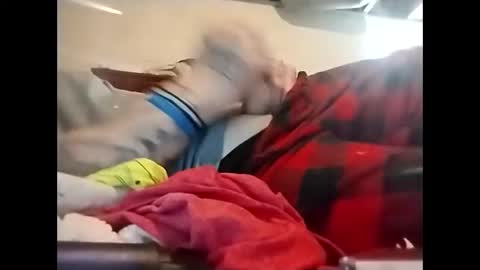 Snapshot of spundaddyandprincess chatting on December 2024 02:30:02 PM spundaddyandprincess online show from December 2024 02:30:02 PM