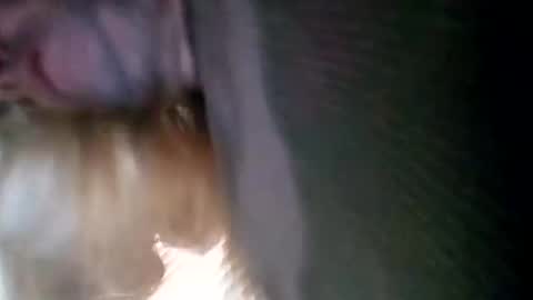 spunslut212 online show from January 2025 03:51:01 PM