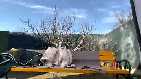 My name is Maya Lush is activeThere are legends that in this room all your wishes can come true  Private is Open online show from March 2025 10:02:01 AM