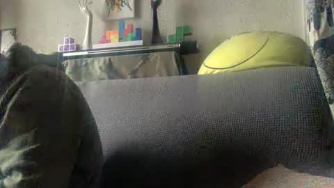 srekos38 online show from February 2025 09:46:01 AM