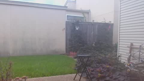 Snapshot of srtxshow chatting on September 2025 07:06:02 PM srtxshow online show from September 2025 07:06:02 PM