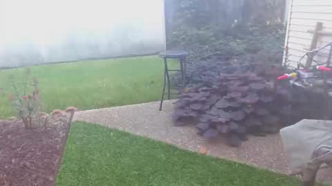 Snapshot of srtxshow chatting on October 2025 01:45:02 PM srtxshow online show from October 2025 01:45:02 PM