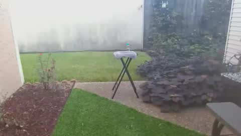 Snapshot of srtxshow chatting on October 2025 02:07:01 PM srtxshow online show from October 2025 02:07:01 PM