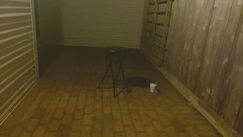 Snapshot of srtxshow chatting on October 2025 11:53:02 AM srtxshow online show from October 2025 11:53:02 AM