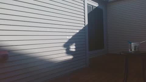 Snapshot of srtxshow chatting on February 2026 03:16:02 PM srtxshow online show from February 2026 03:16:02 PM