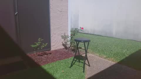 Snapshot of srtxshow chatting on March 2026 04:34:02 PM srtxshow online show from March 2026 04:34:02 PM