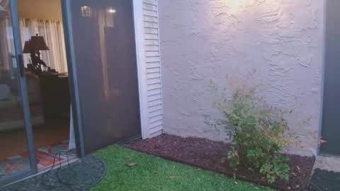 Snapshot of srtxshow chatting on April 2026 12:02:01 PM srtxshow online show from April 2026 12:02:01 PM