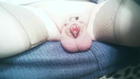 st3v33 online show from April 2026 11:59:01 AM