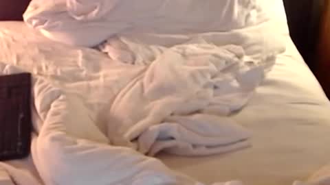 st8llion online show from January 2025 02:41:01 AM