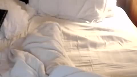 st8llion online show from January 2025 07:19:02 AM