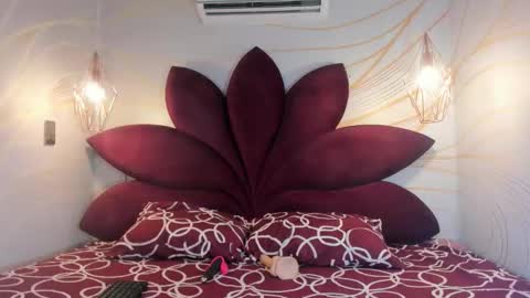 STAAR HOT online show from February 2026 12:23:02 PM