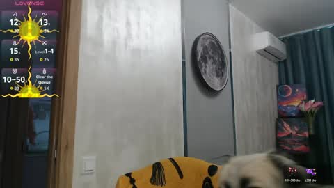 STACY online show from May 2026 11:40:01 AM